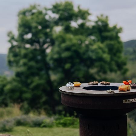 Apartmany Nad Slikovkou Jáchymov Dış mekan fotoğraf