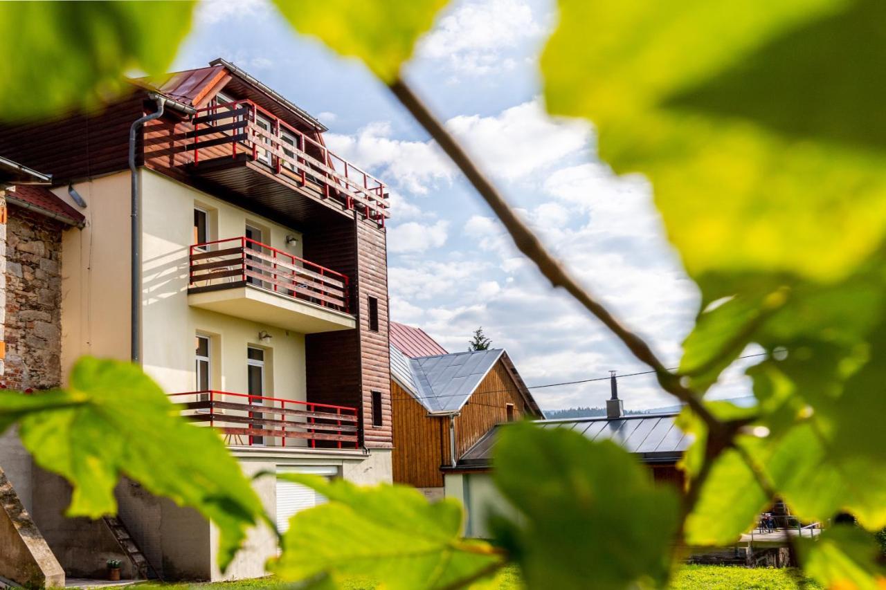 Apartmany Nad Slikovkou Jáchymov Dış mekan fotoğraf